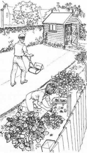 [ picture of gardening]